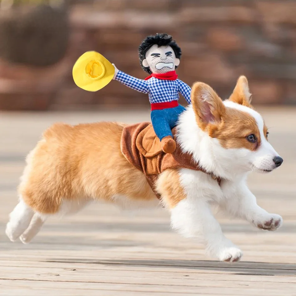 The Rider Who Never Dismounts