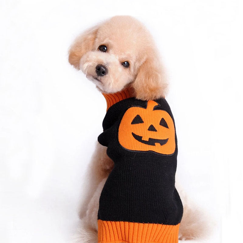 Pumpkin Dog Sweater