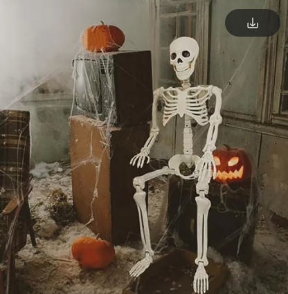 LifeEyes Skeleton