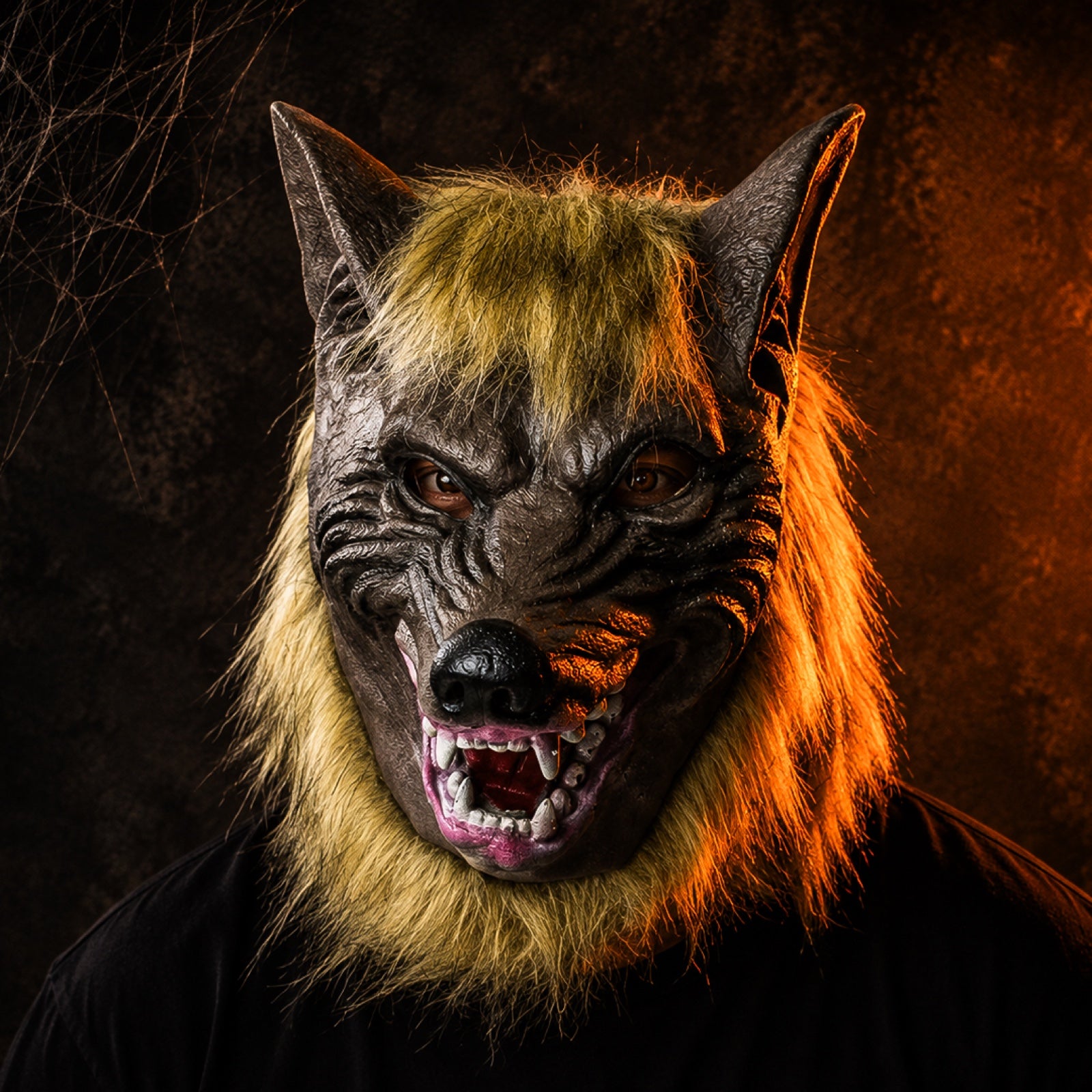 WereWolf COVER