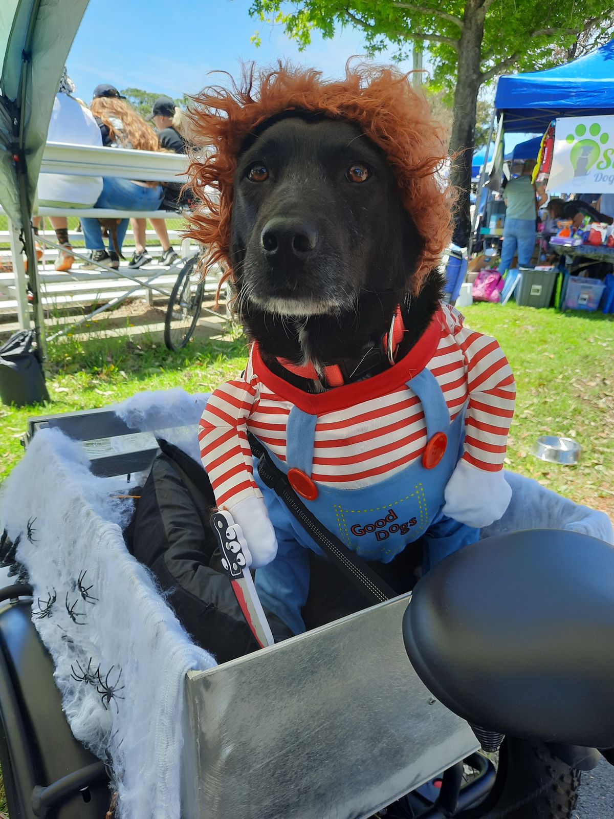 Chucky Dog Costume