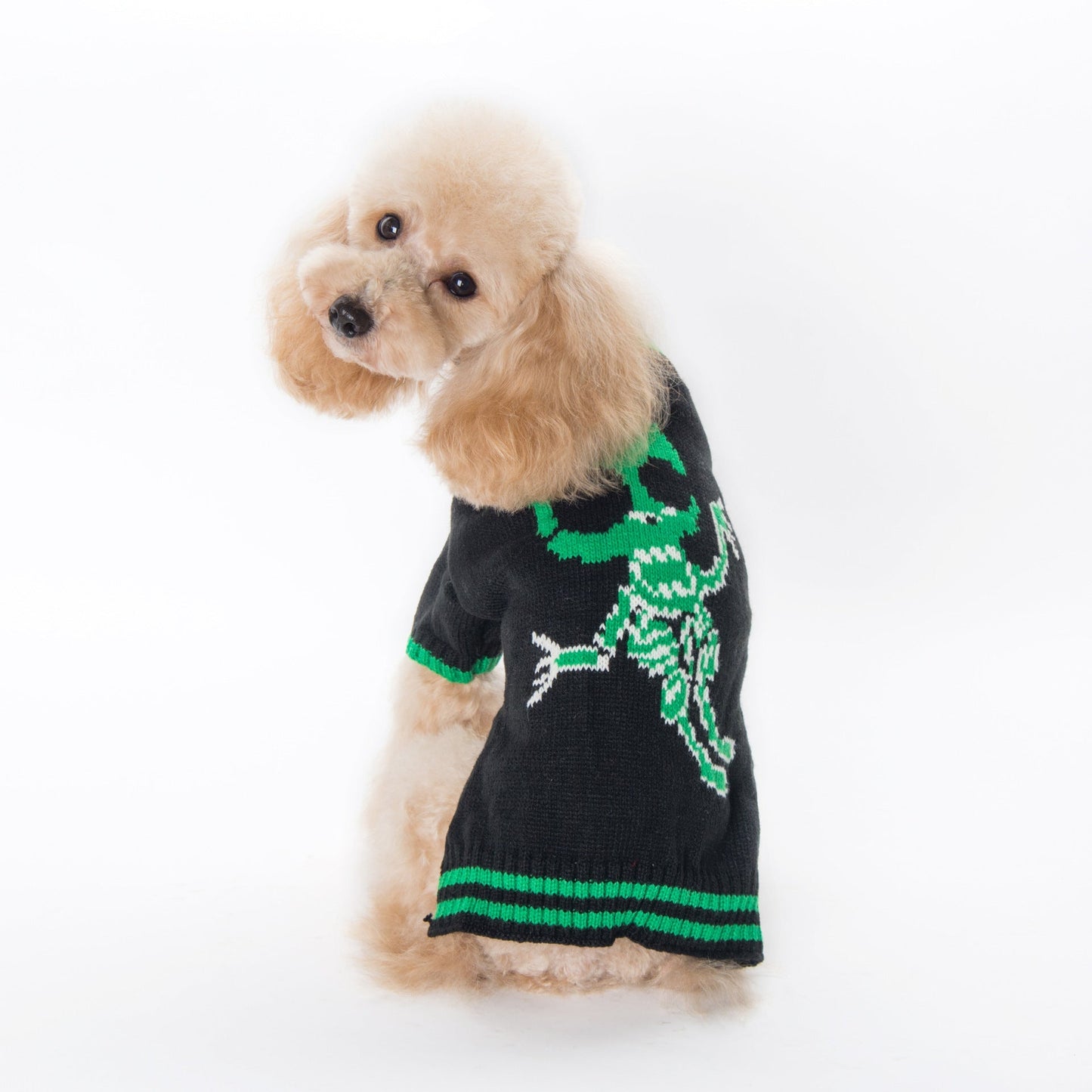 Pumpkin Dog Sweater
